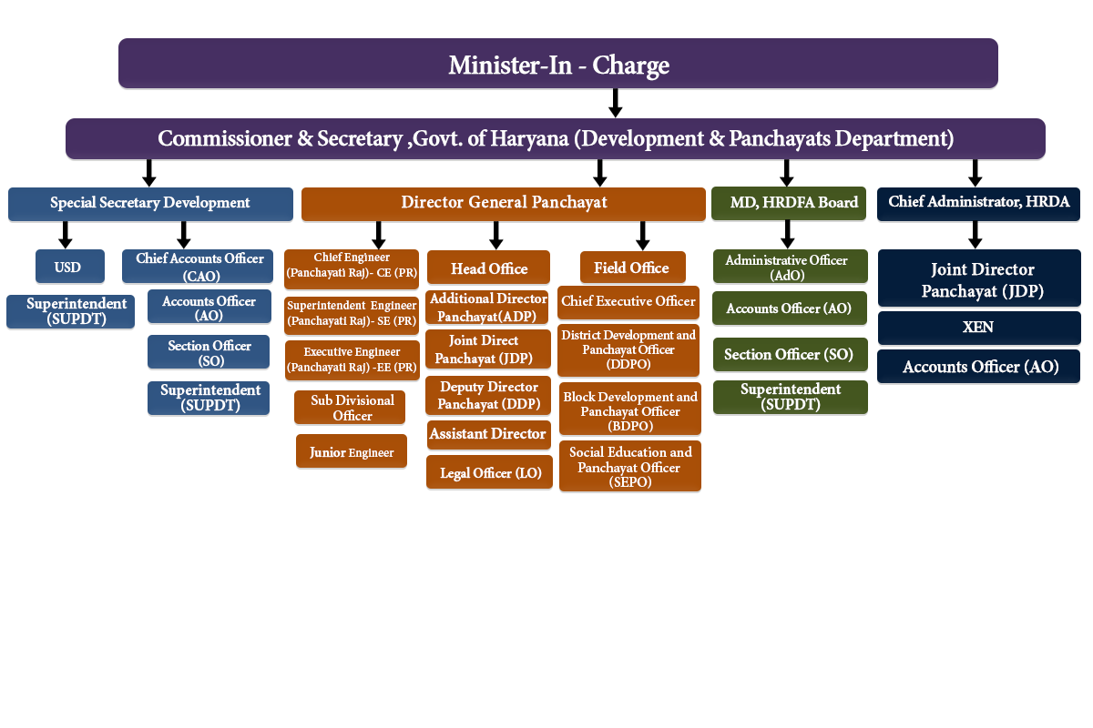 Organization-Structure